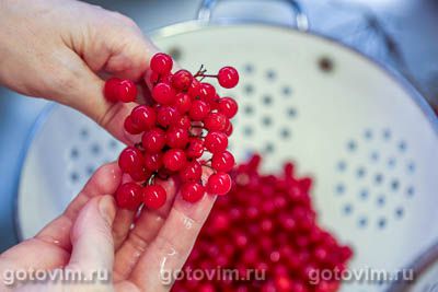 Сырое варенье из калины с апельсином Сырое варенье из калины с апельсином
