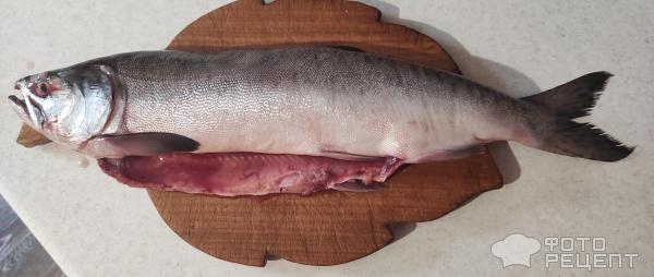 Рецепт: Домашняя соленая горбуша - Простой, но очень вкусный рецепт Рецепт: Домашняя соленая горбуша - Простой, но очень вкусный рецепт